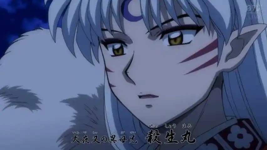 《半妖的夜叉姬》杀生丸回归