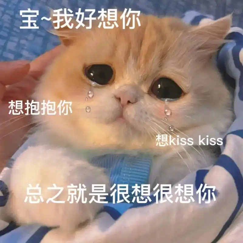 难道你就不想抱抱我 摸摸我的头发吗#发给对象表情包 #艾特男 - 抖音