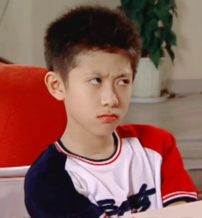 刘星电视剧家有儿女系列人物