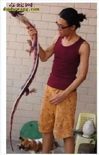 龙真身吓人图片