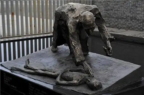 16年前,36岁的她选择举枪自杀结束生命,曾为30万冤魂奔命_手机搜狐网