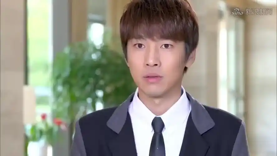 爱的阶梯:公司开董事会,太子爷子杨提出改革方案,竟被皓天否决