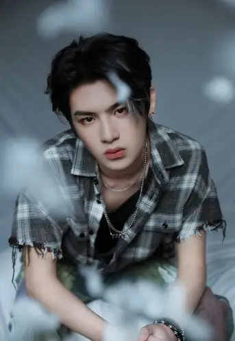 黄明昊格纹上衣帅气写真图片