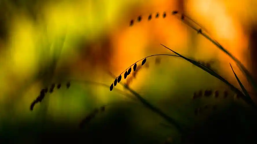 【1600x900】夏天风景电脑桌面壁纸 - 彼岸手机壁纸下载