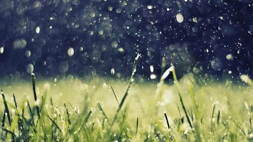 qq空间唯美雨景图