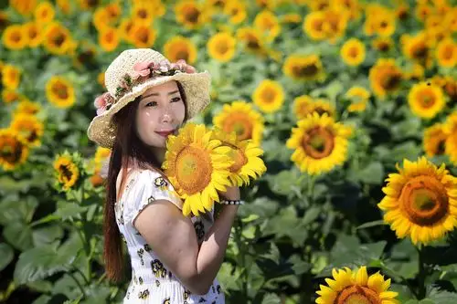 心,永远微笑向阳,追逐着阳光.