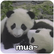 [分享]施工组织设计精选资料top50