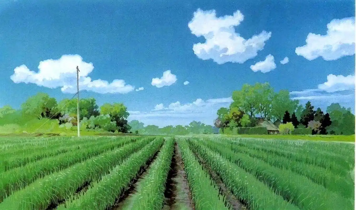 一组宫崎骏电影中的夏天,依稀记得电影中的美好故事.