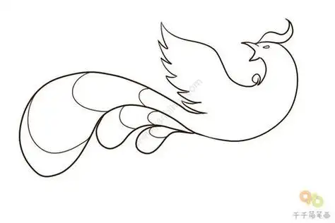 火红的凤凰简笔画百鸟之王凤凰简笔画大全凤凰简笔画五彩凤凰简笔画