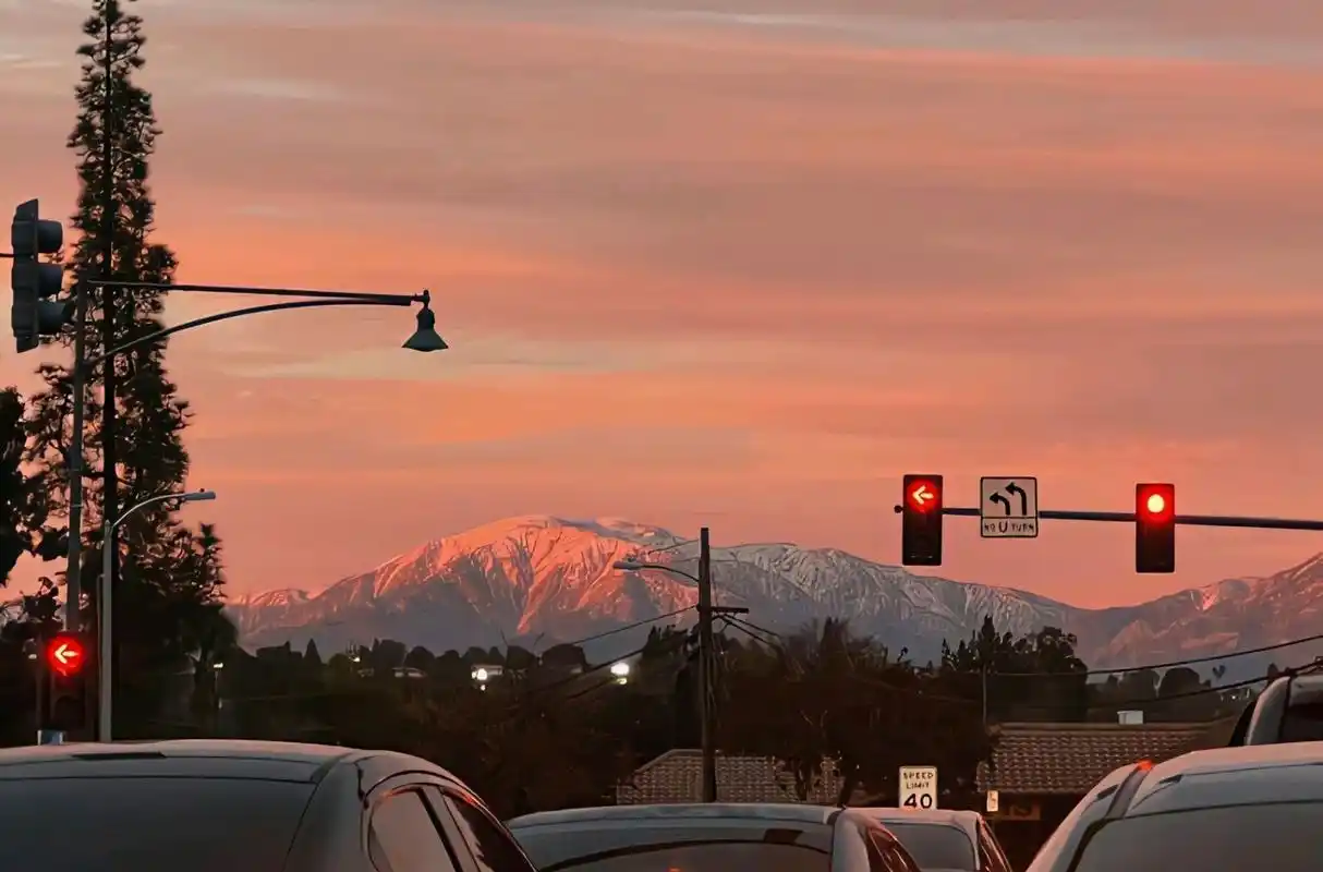 抖音很火的句子|"向日葵追着光却抬眼见到了月亮"