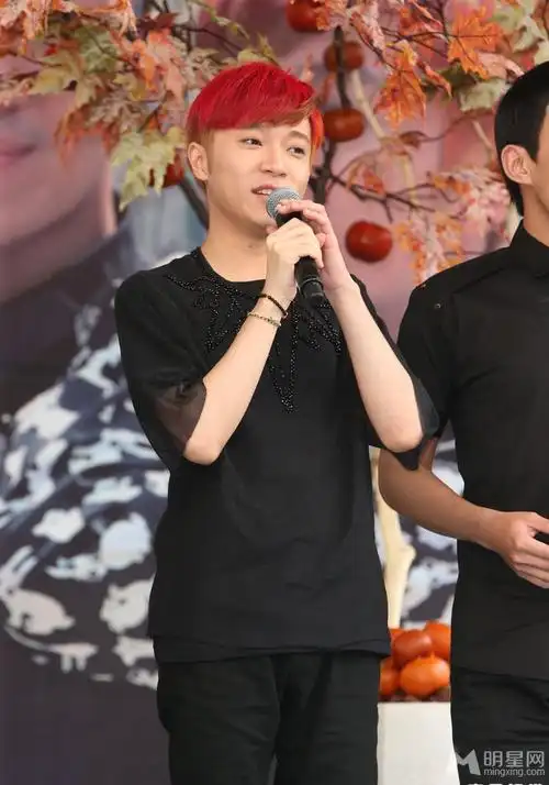 求吴青峰秋专辑时期红头发的照片,越多越好.最好不要有水印