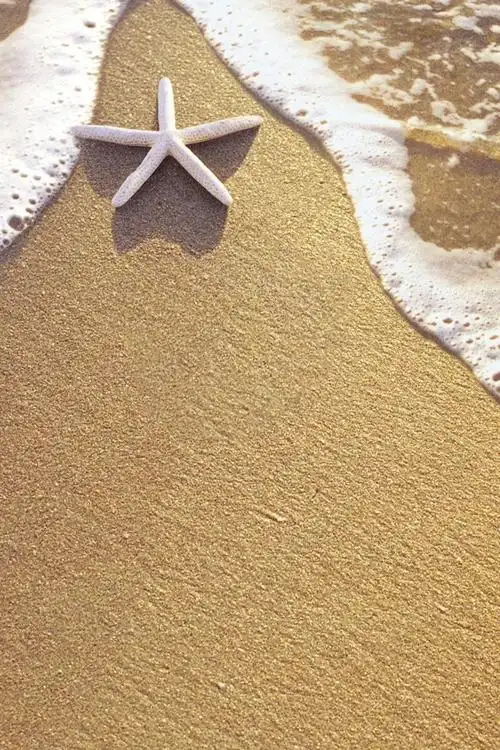 海滩,沙子,海星,水,波浪