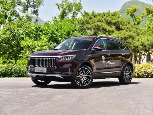 猎豹汽车经销商将停止国内免费售后维保服务车主天都塌了