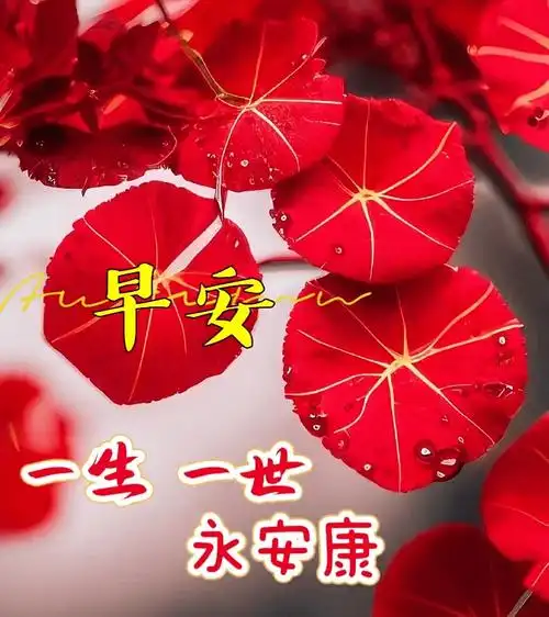 周四早上好,最新版清晨最新早安祝福创意表情包图片带字带问候语录