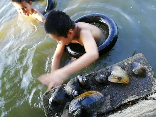 池塘里游泳中也小有收获