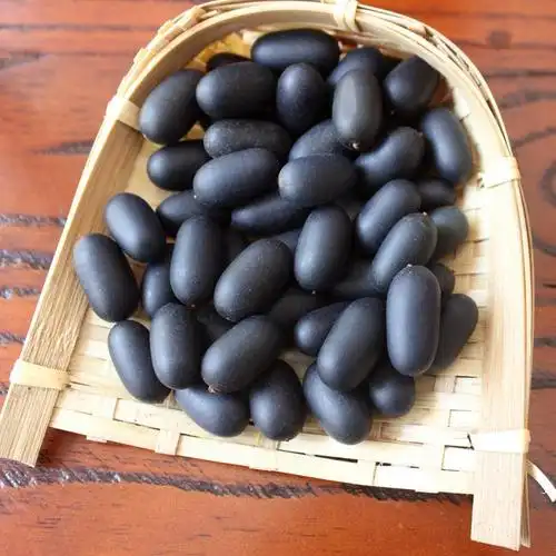 双肾滋补正品特级野生广西泡酒男性肾补果温风流果