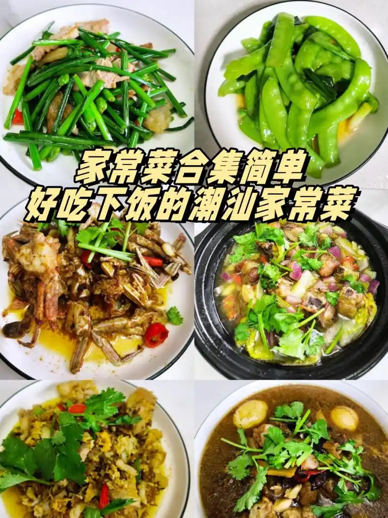 家常菜合集简单好吃下饭的潮汕家常菜	  11566清炒荷兰豆  荷兰豆