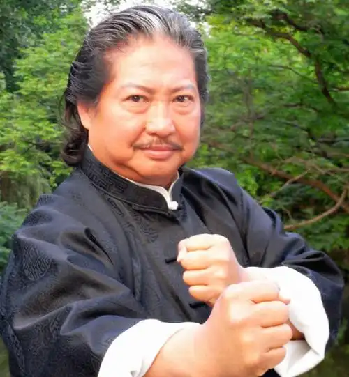 69岁洪金宝又瘦了,与小13岁妻子坐在一起,年龄差距格外明显