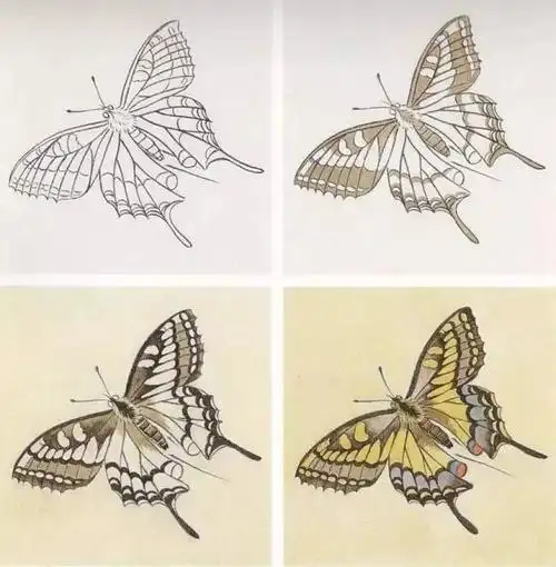 教程工笔蝴蝶14种画法