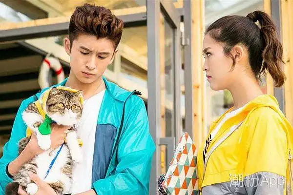 张云龙女朋友是王洋吗 两人只是戏中情侣