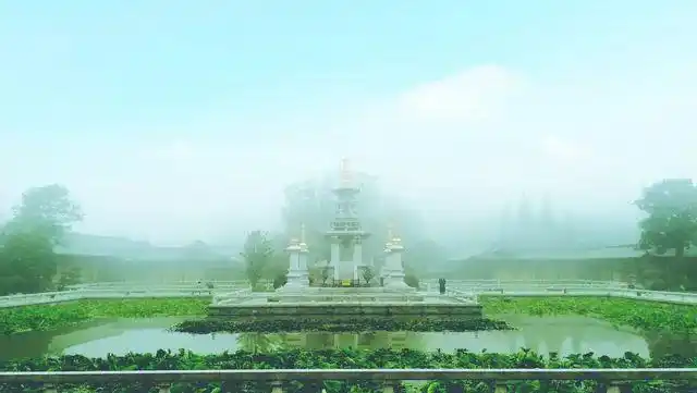 七宝池中菡萏馨东林千年莲香醉人