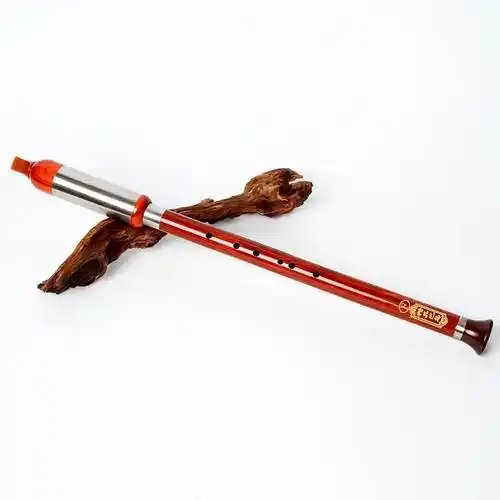 巴乌乐器竖吹调降儿童小学生成人初学者入门演奏巴乌