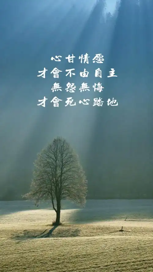 心甘情愿才会不由自主,无怨无悔才会死心塌地!