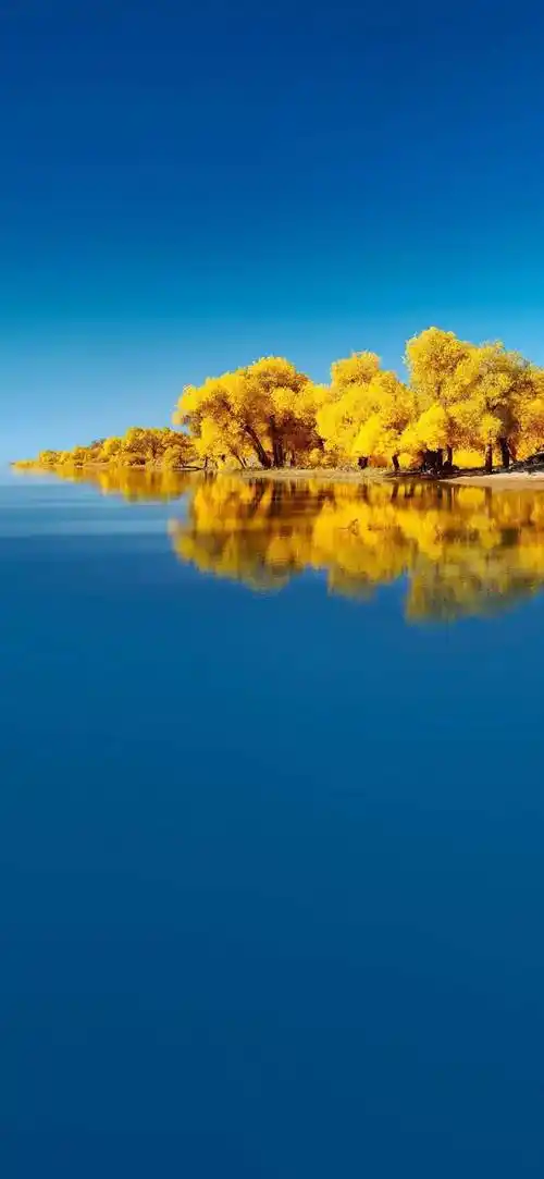 华为mate40系列内置壁纸高清