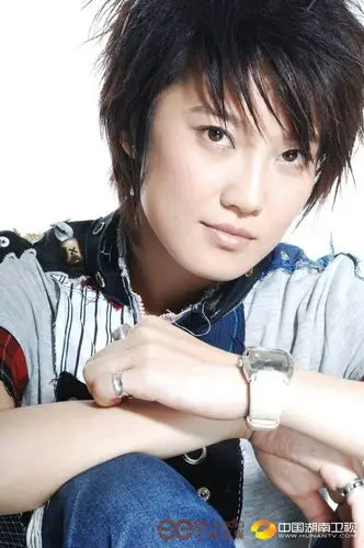 电视tv 2006《超级女声》 06《超女》相关报道  08号刘力扬   来自