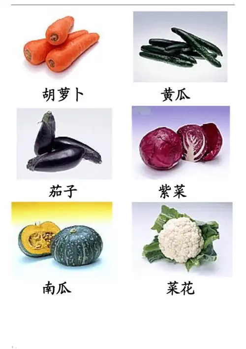 蔬菜图片大全