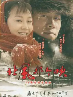 北风那个吹剧情介绍(1-36全集)大结局_电视剧_电视猫