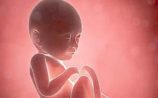 4个月的胎儿是什么样?原来这样的可爱,还有"特殊"能力