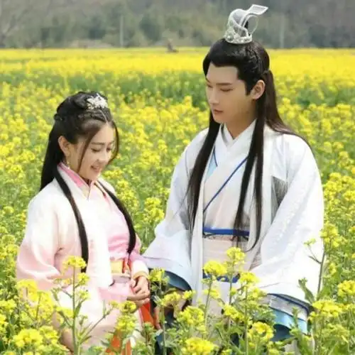 双世恋人【网络剧《双世宠妃2》插曲】