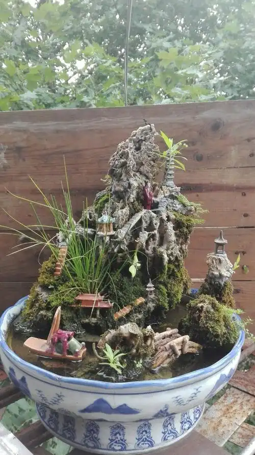 ①自制的假石山,经室外置放,现生长了些小植物.