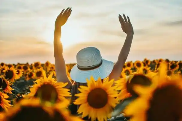 心情愉悦的唯美句子