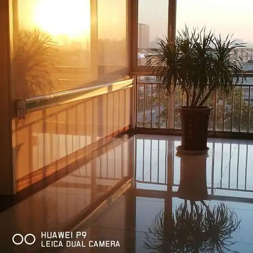 透过窗户~射进来!给我许多梦