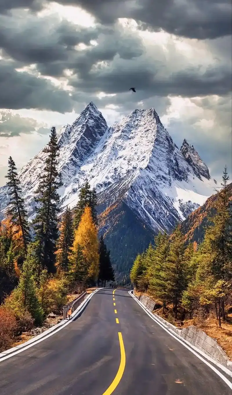 壁纸 风景 1080_1839 竖版 竖屏 手机