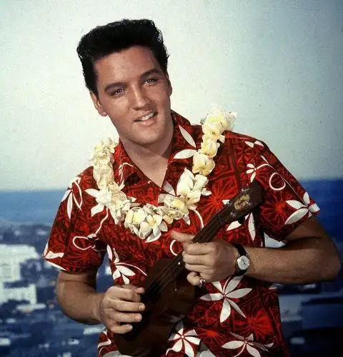 历史上的今天1935年1月8日摇滚乐巨星猫王出生