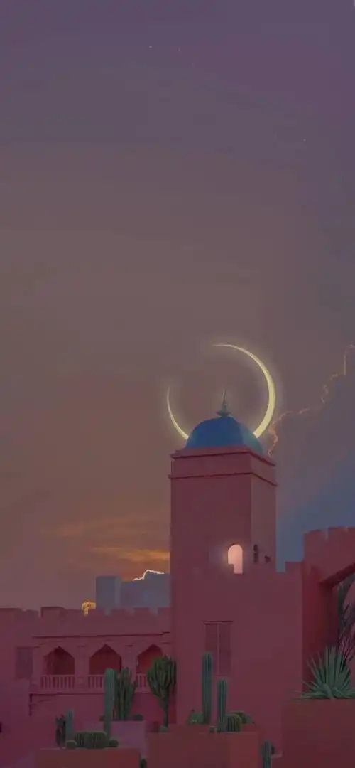 『小仙女壁纸』ins高级感壁纸图!