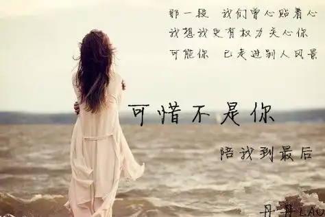 可惜不是你陪我到最后是什么歌