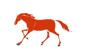 素材组合应用式样(欢迎朋友光临指导)地址永不失效根据swf格式抠图