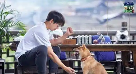 原创向往的生活第五季定档张艺兴将带来大批流量强势加盟黄磊何炅嘉宾