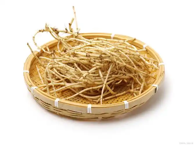 鱼腥草是一级致癌中药?没想到那么多年,还有人相信,真相来了