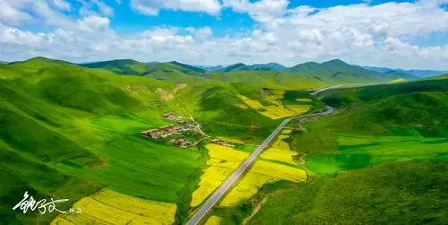 1/ 12 美仁大草原位于甘肃省合作市东,这里是青藏高原特有的高山草甸
