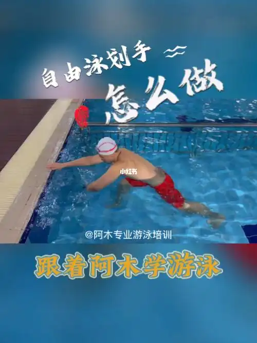 自由泳教学自由泳划手分解练习