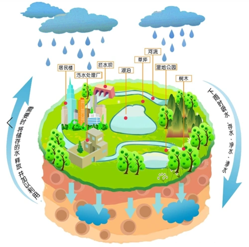 "海绵城市"比喻城市像海绵一样,具有吸收,蓄存,渗透,净化雨水等功能.