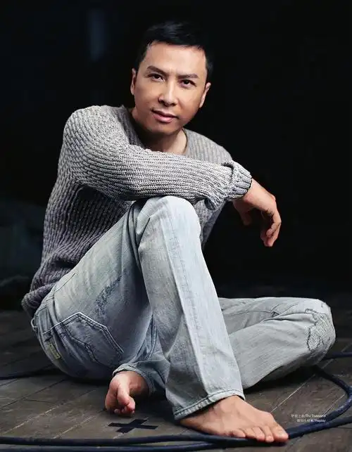 甄子丹 donnie yen 图片