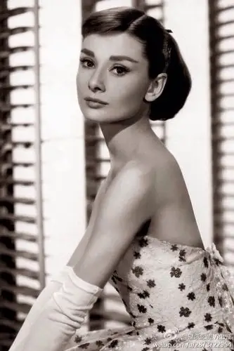 复古欧美风 奥黛丽赫本手机壁纸