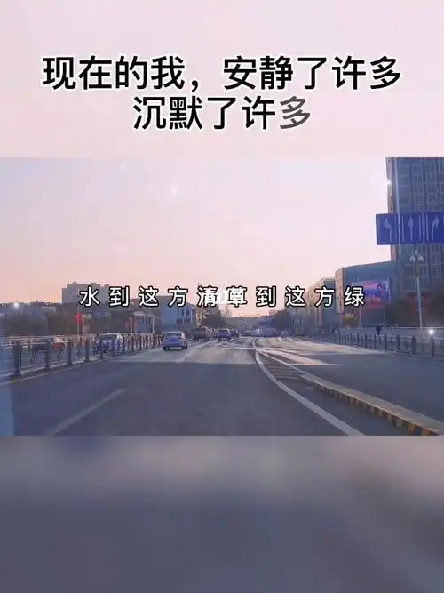 现在的我安静了许多沉默了许多想开了