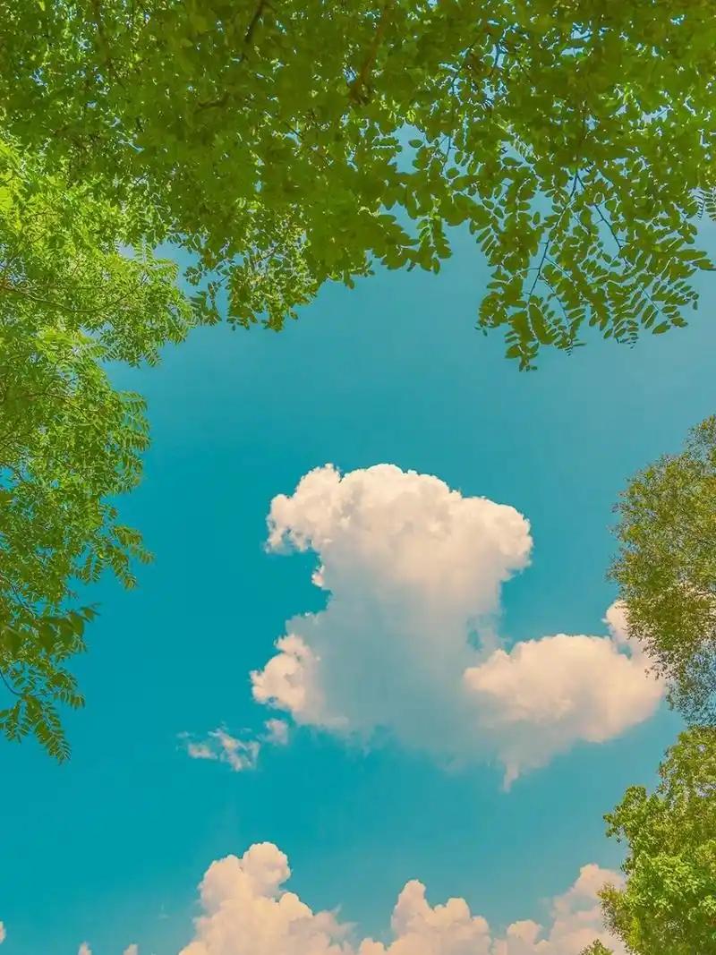 奶油色治愈系漫画关于夏天的云朵7815收集合集 好喜欢夏天78